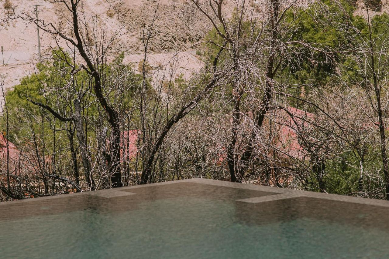 Hotel Vivelo Elqui Landscape Horcón Extérieur photo